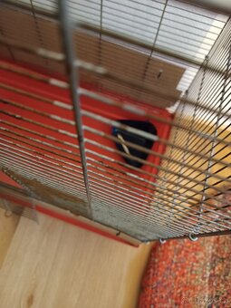 Klec pro hlodavce - 3