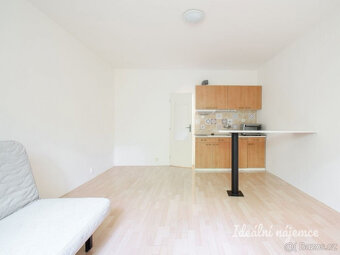 Pronájem bytu 1+kk, bratří Sapáků, Líšeň, 29 m2 - 3