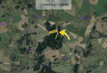 Prodej podílu 1/8 lesa 4 100 m², Milevsko - Klisín - 3
