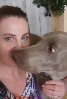 Pohlidám vašeho pejska. Plzeň - 3