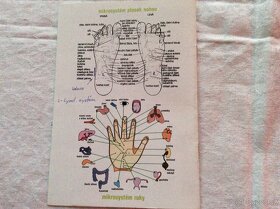 Akupresurní přístroj - 3