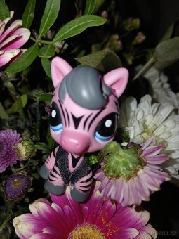 Lps kůň - 3
