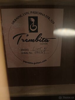 Elektroakustická kytara Trembita - 3
