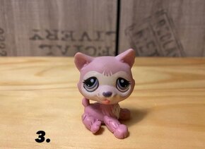 LPS - 3