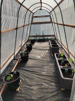 Prodej zahrada Děčín - 3