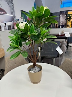 Umělé Rostliny - 3