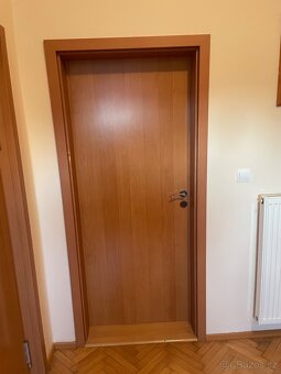 Dveře - 3