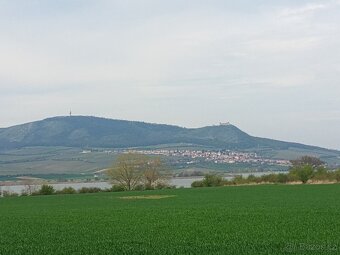 Dovolená na Pálavě - prodej Chaty - 3