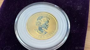 👑 Zlatá Investiční Mince Maple Leaf 1 Oz. 2022 - 3