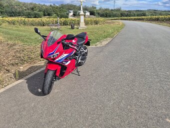 Honda CBR 650r - 3