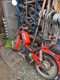 Prodám babetu 210 - 3