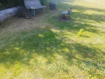 Pronajmu zahradu . - 3