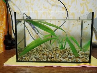 Rohové akvarium - 3