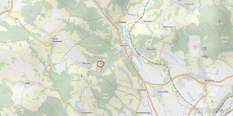 Prodám lesní pozemky v k.ú. Zborov na Moravě Zborov, okres Š - 3