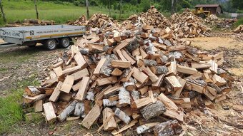 Palivové dřevo štípané - Třebíč, Vysočina - 3