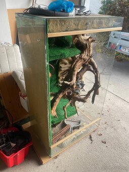 Vybavené terárium - 3