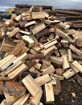 Palivové dřevo tvrdé - 3