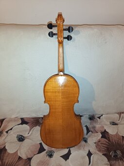 Viola - 3