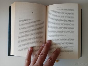 Zimní čarodějnice - Paula Brackston - 3