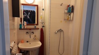 Pronájem podkrovního bytu 1KK v Třešti - 3