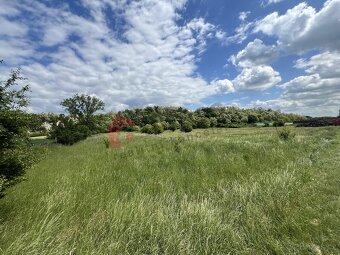 Komerční pozemek 15287m2 v obci Počeplice, Štětí - 3
