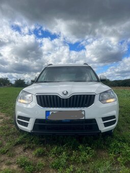 Yeti - 3