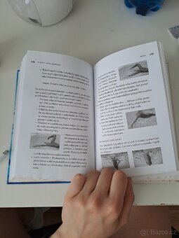 Plavání - Total immersion - 3