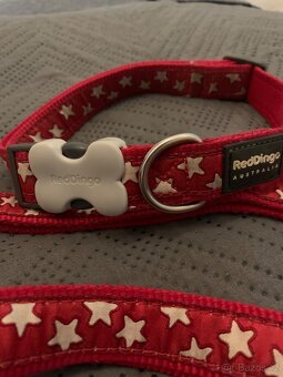 Vodítko + obojek - 3