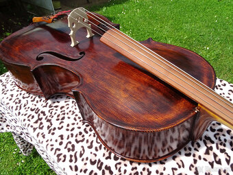4/4 violoncello - 3