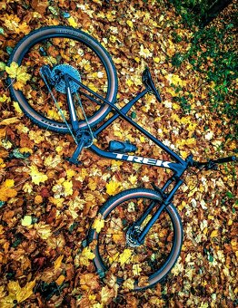 Trek Roscoe 7 2024 XL - 3