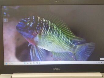 Prodám Dell Inspiron 5570 - 3