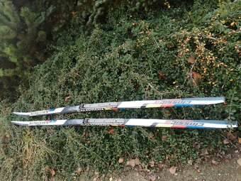 běžky  salomon classic 201 - 3