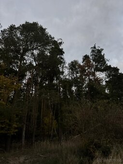 Prodej pozemků v k.ú. Nezdice nad Úhlavou - 3