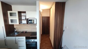 Pronájem bytu 1kk Lovosice - 3