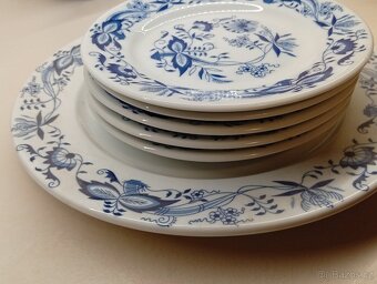 Prodám cibulák - 3