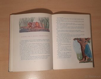 Prodám knihu krása nesmírná - 3