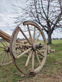 Žebřiňák (část) - 3