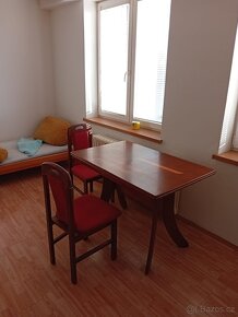Pronájem vybaveného bytu 1+kk - 3