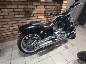 Harley Davidson Vroad Muscle - 3