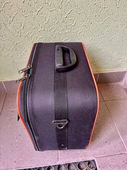 Pearl Demon bag. - 3