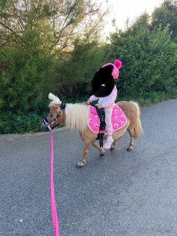 Minihorse klisna - 3