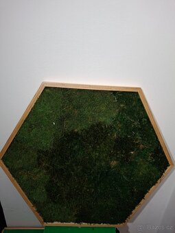Mechový obraz _ překližka - šestiúhelník - 3
