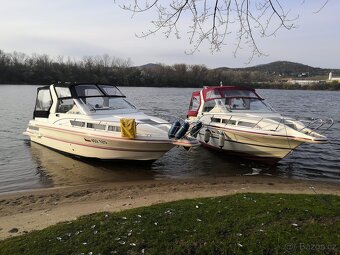 Monaco Polar 290, diesel - 3