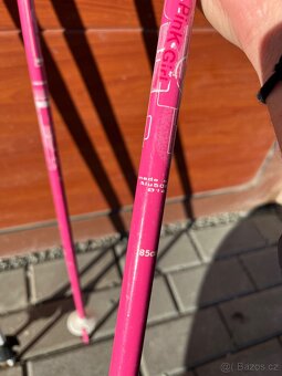 Lyžarské hůlky - 3