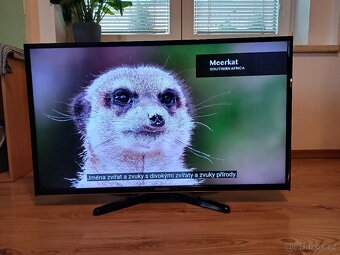 Smart TV Hyundai FLR 39TS472 SMART-úhlopříčka 99cm - 3