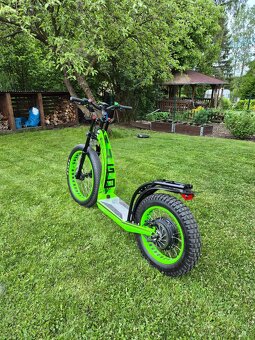 Hugo Bike Big One X - 3