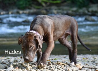 Apbt s PP - 3