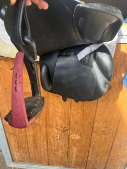 Prestige appaloosa (equipe) - 3