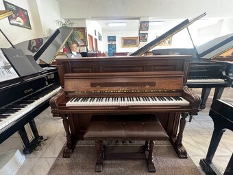 Holandské piano Rippen se zárukou 5 let. Doprava zdarma - 3