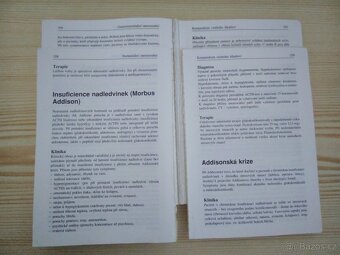 Kompendium vnitřního lékařství - 3